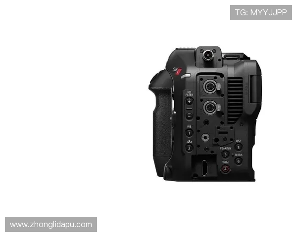 深度解析尊龙Z6真人娱乐的用户体验，帮助你轻松上手各种游戏